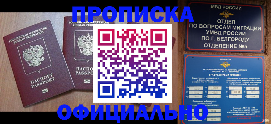 найти адрес прописки в Карачеве